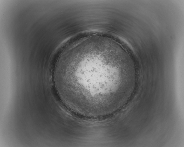 X0000113280872200909280950