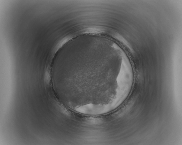 X0000113280874200909280950