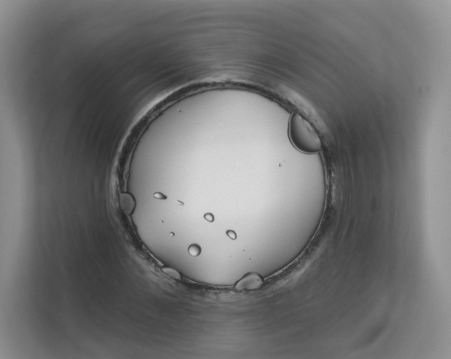 X0000113280876200909280950