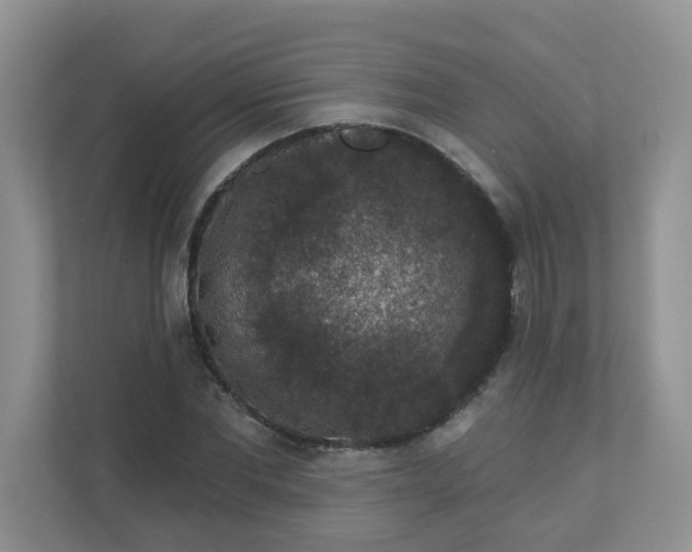 X0000113280877200909280950