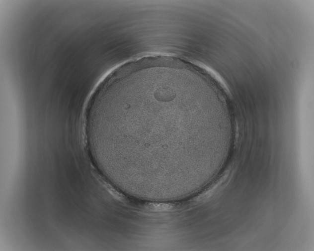 X0000113280878200909280950