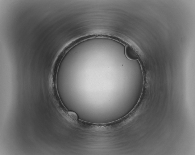 X0000113280880200909280950