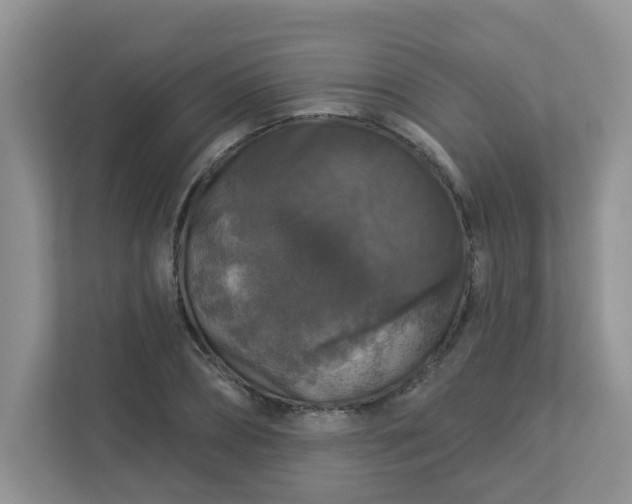 X0000113280882200909280950