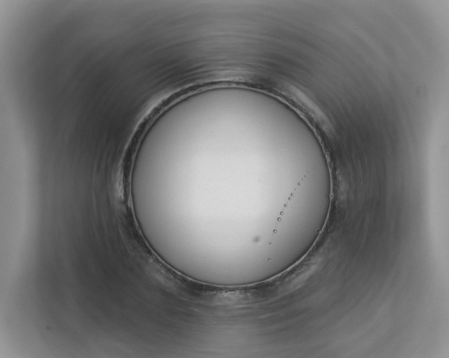 X0000113280883200909280950