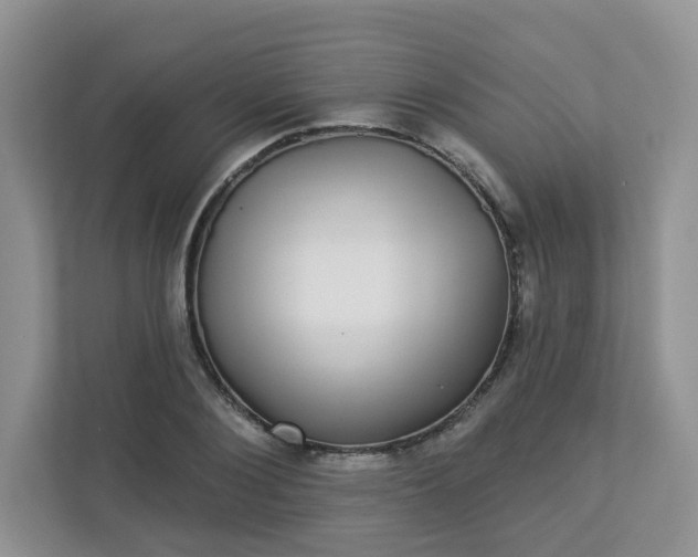 X0000113280884200909280950