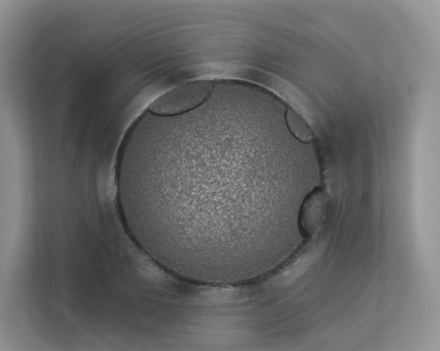 X0000113280885200909280950