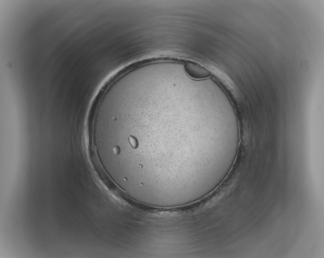 X0000113280888200909280949