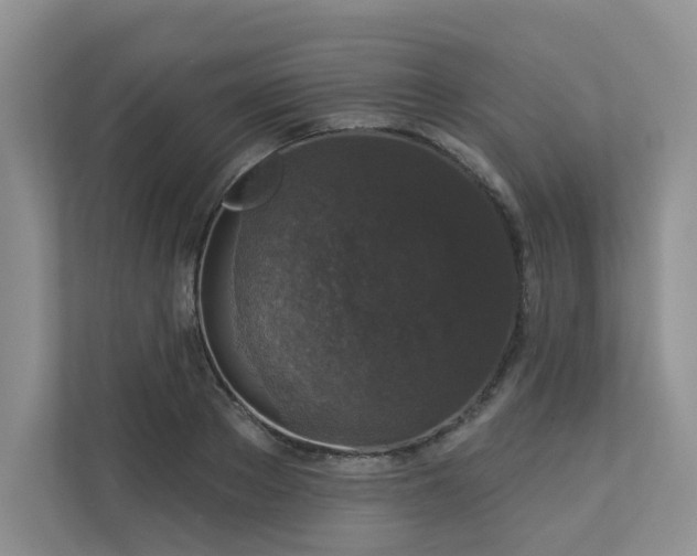 X0000113280889200909280949