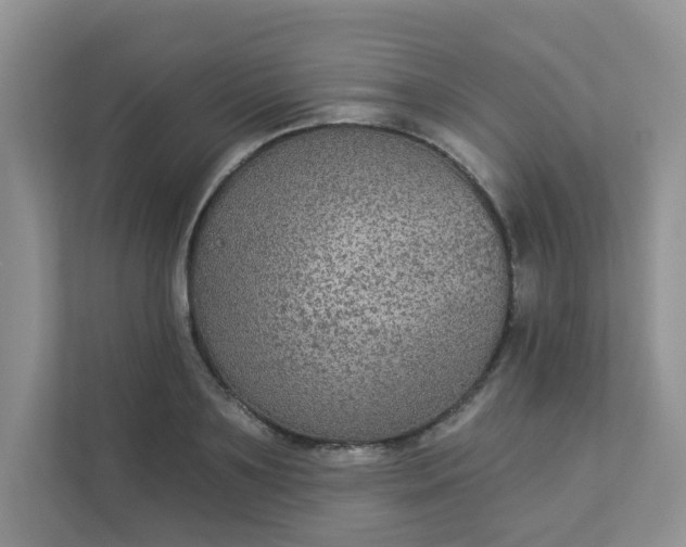 X0000113280891200909280949