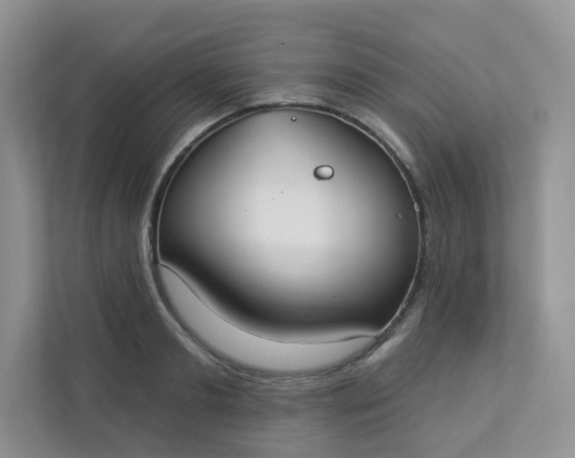 X0000113280893200909280949