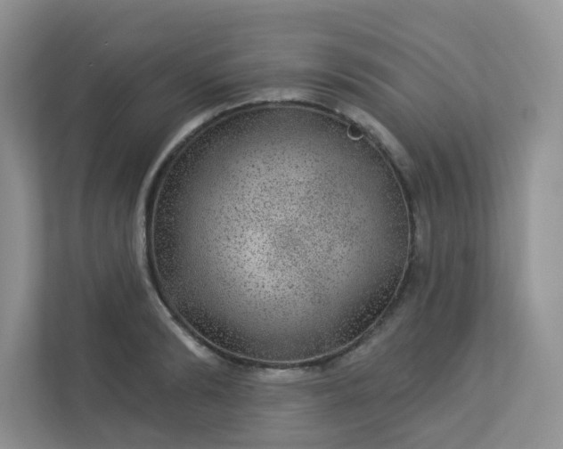 X0000113280894200909280949