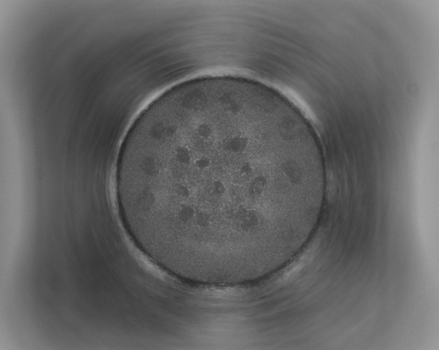 X0000113280895200909280949