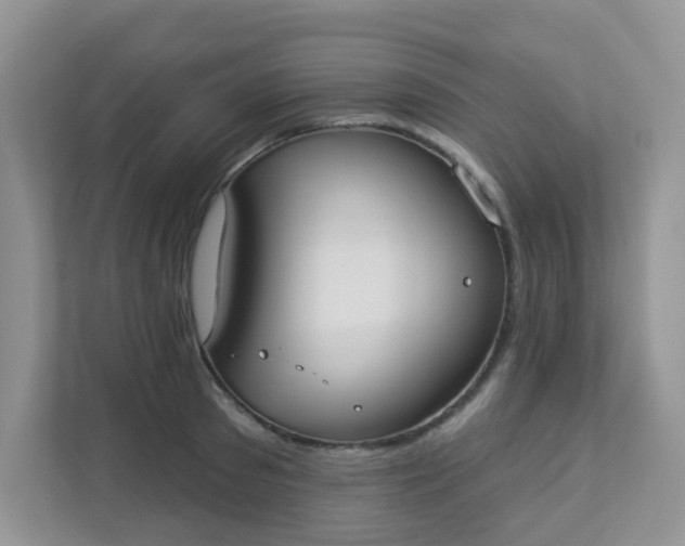 X0000113280897200909280949