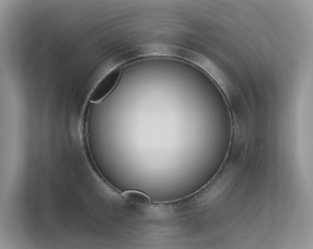 X0000113280901200909280949