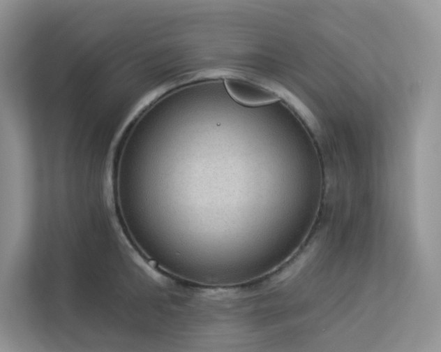 X0000113280902200909280949