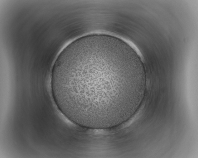 X0000113280903200909280949