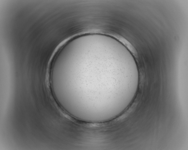 X0000113280904200909280949