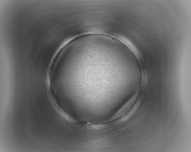 X0000113280908200909280949