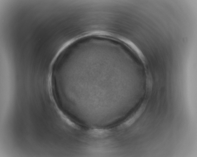 X0000113280910200909280949