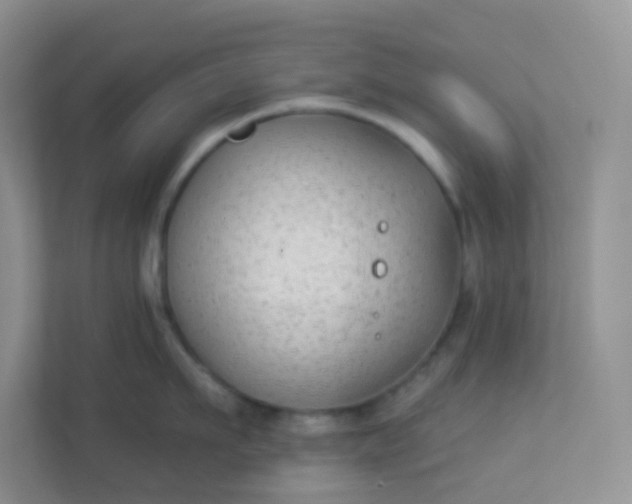 X0000113280911200909280949