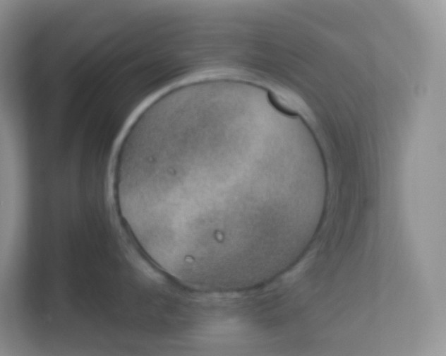 X0000113280912200909280949