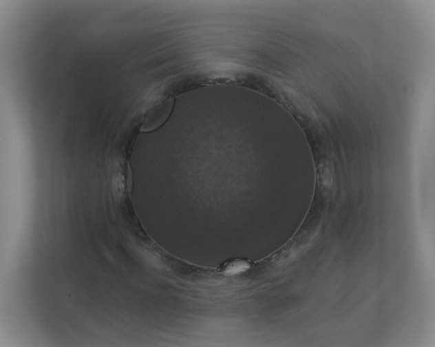 X0000113280916200909280949