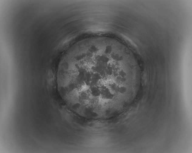 X0000113280917200909280949