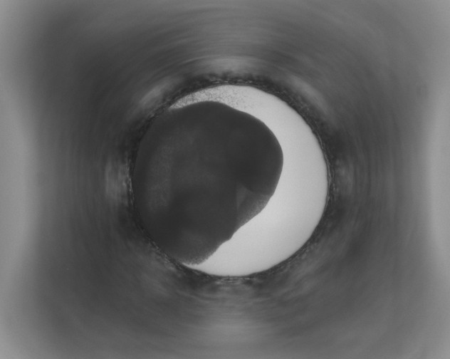 X0000113280918200909280949