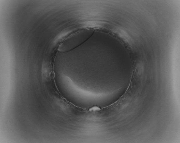 X0000113280920200909280949