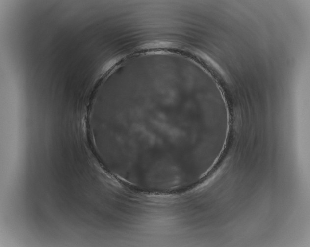 X0000113280921200909280949