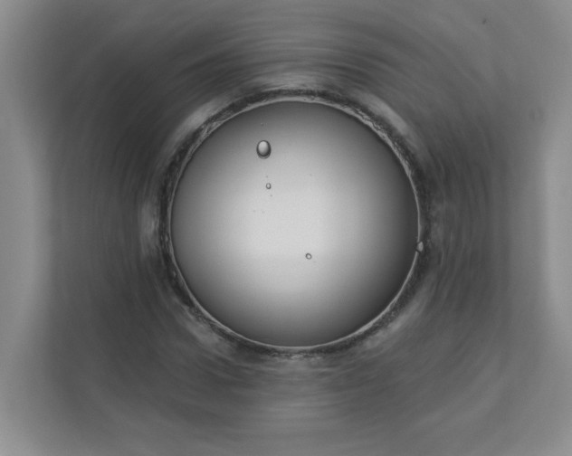 X0000113280922200909280949