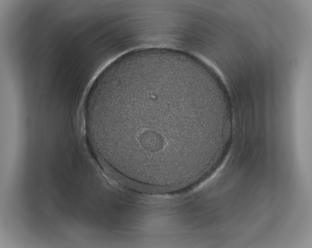 X0000113280925200909280949