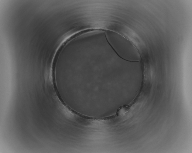 X0000113280932200909280949