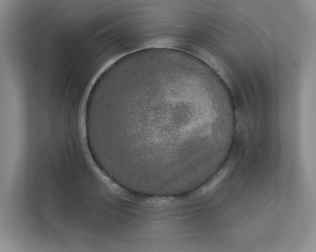 X0000113280939200909280949