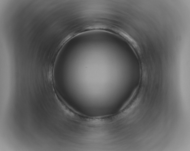 X0000113280945200909280949