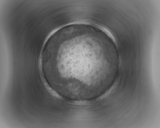 X0000113280952200909280949