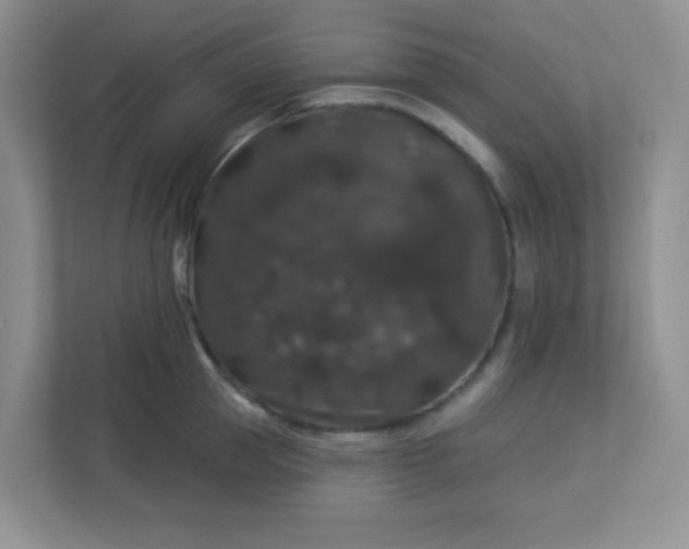 X0000113280953200909280949