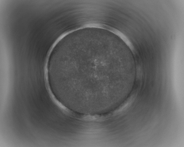 X0000113280955200909280949