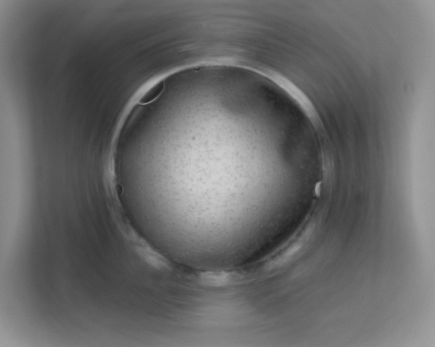 X0000113280956200909280949