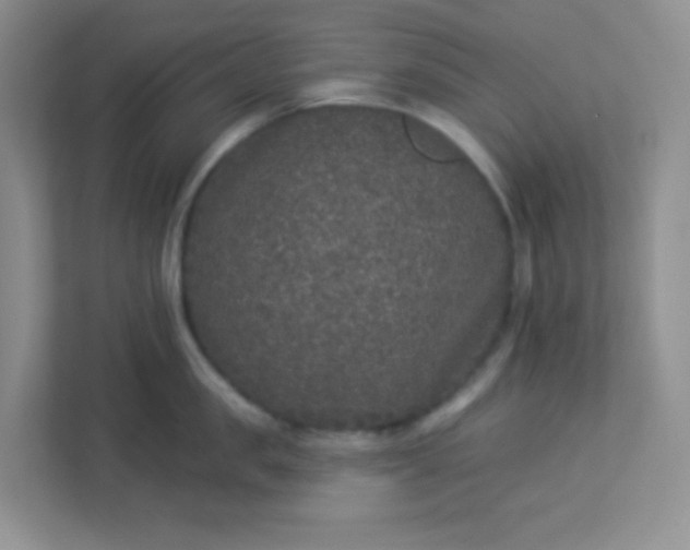 X0000113280957200909280949