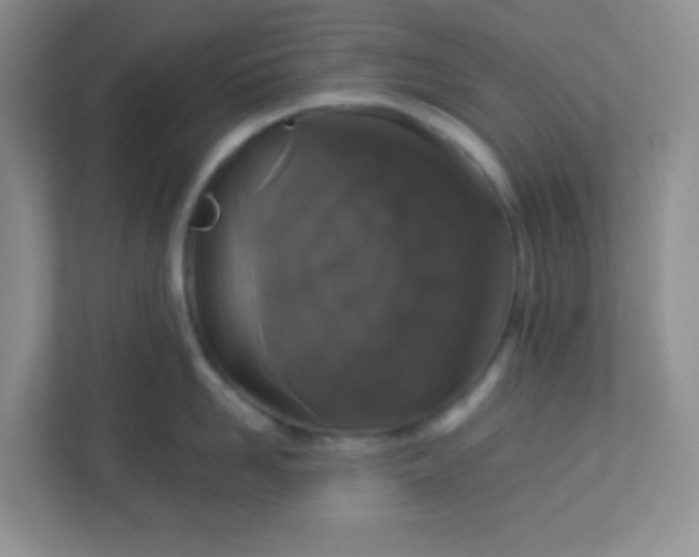 X0000113280958200909280949