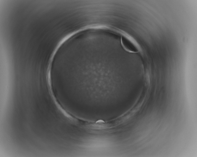 X0000113280959200909280949