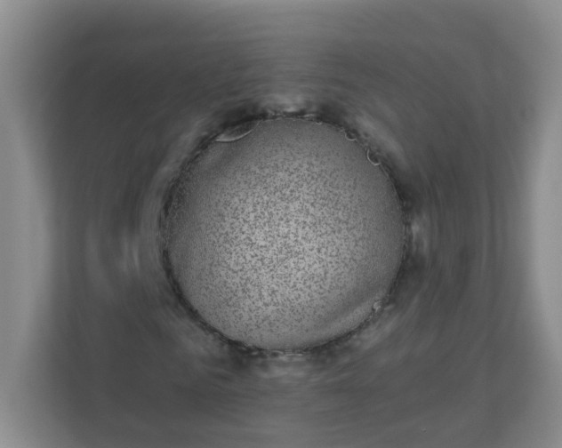 X0000113280961200909280949