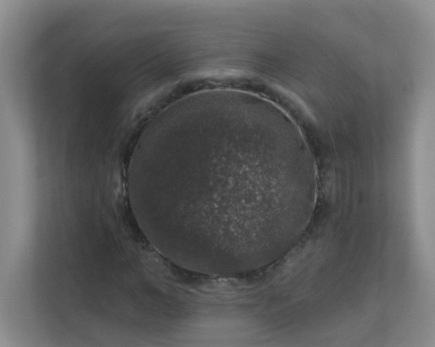 X0000113280966200909280948