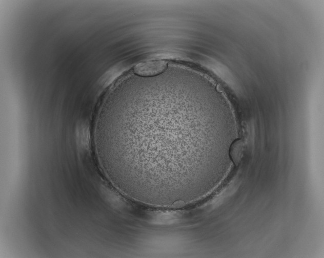 X0000113280969200909280948