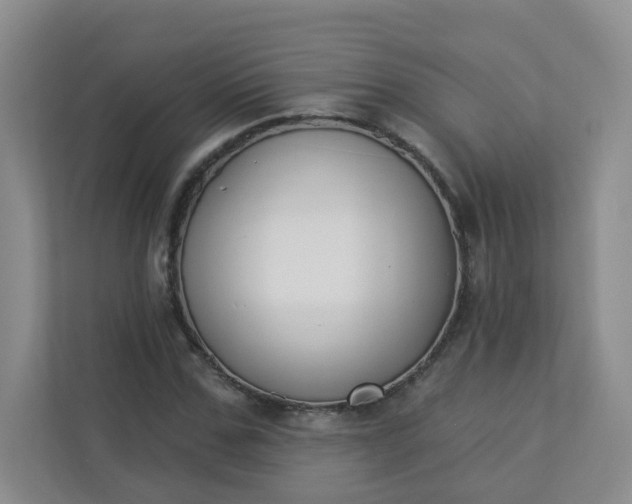 X0000113280971200909280948