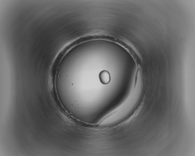 X0000113280973200909280948