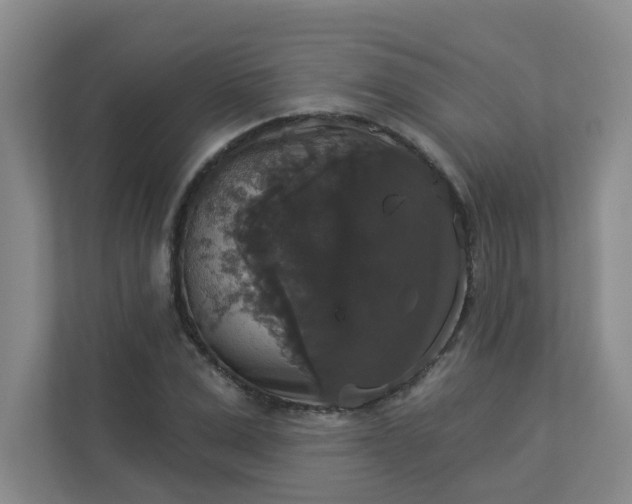 X0000113280975200909280948