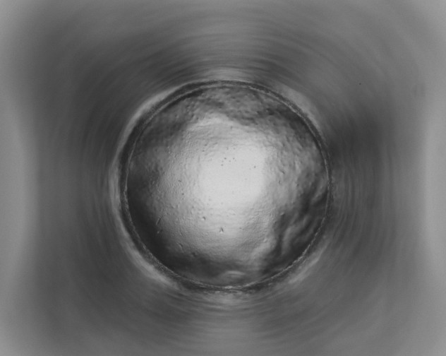 X0000113280987200909280948