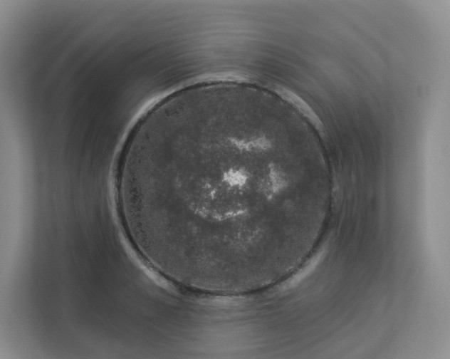 X0000113280989200909280948